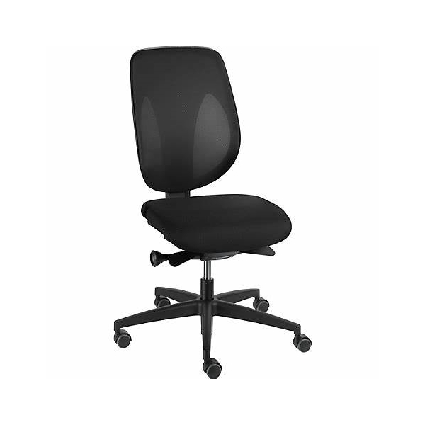 Giroflex Fauteuil de bureau 353 sans accoudoirs